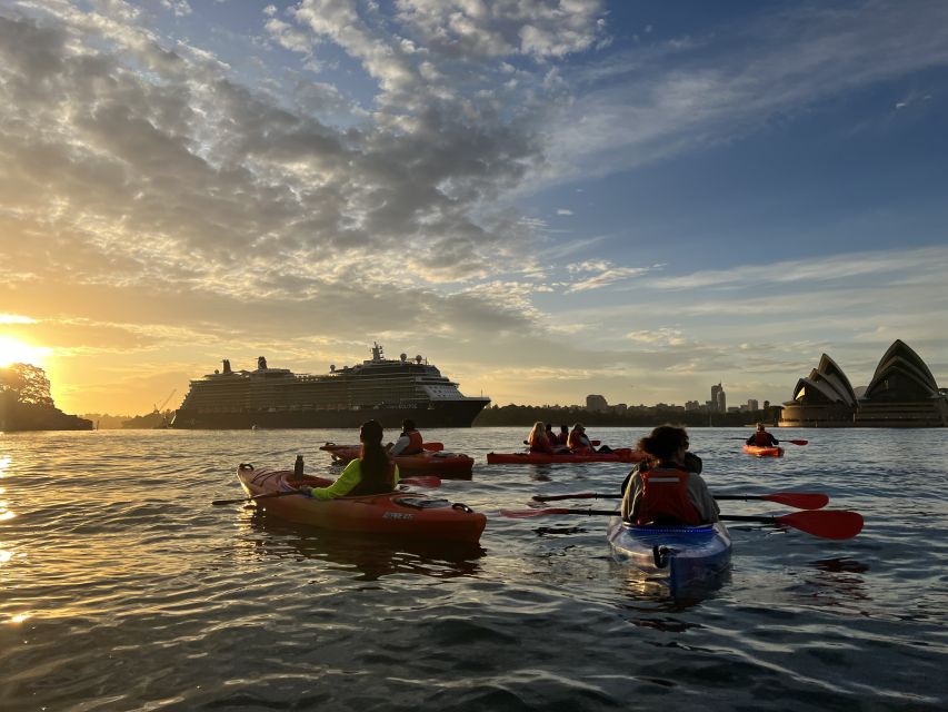 Sydney: Sunrise Kayak Tour on Sydney Harbour - Meeting Point Information