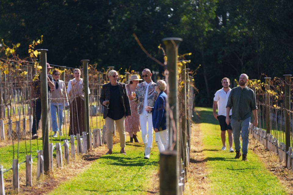 Tamborine Mountain: Wine Tasting Tour With 2-Course Lunch - Important Information