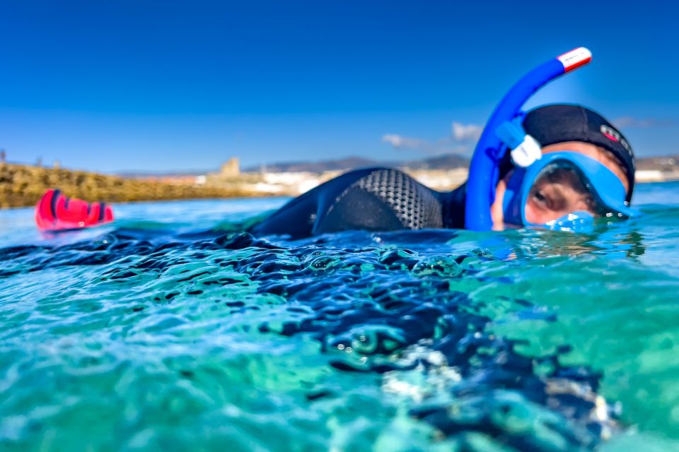 Tarifa: Guided Snorkel Tour in the Strait Natural Park - Requirements