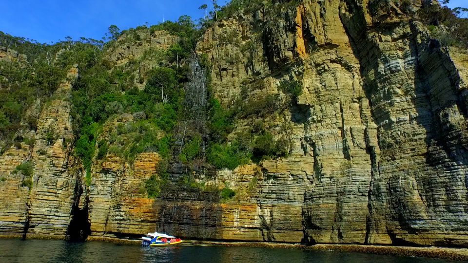 Tasman Peninsula Day Trip With Cruise & Devils From Hobart - Tour Highlights