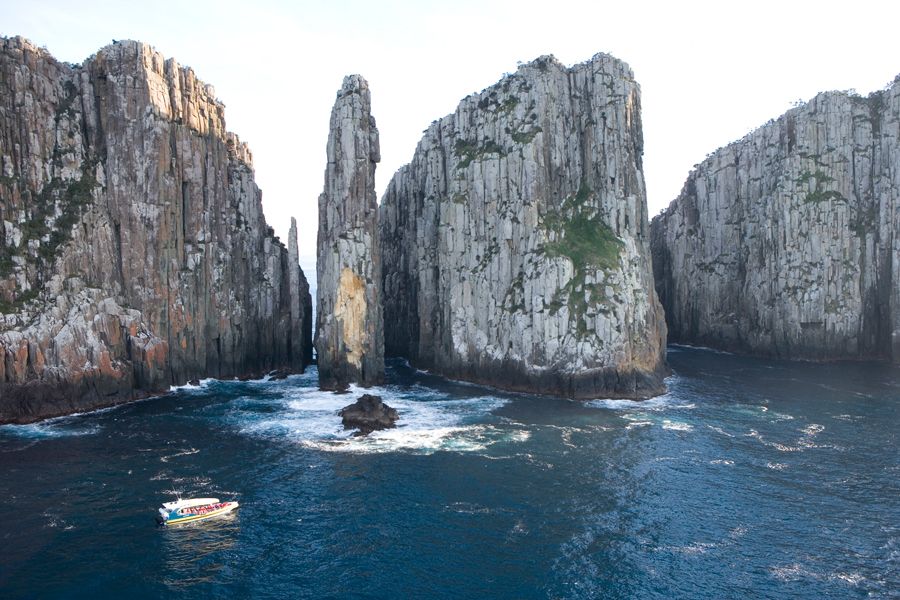 Tasman Peninsula Tour, Cruise & Port Arthur Historic Site - Live Tour Guide and Language