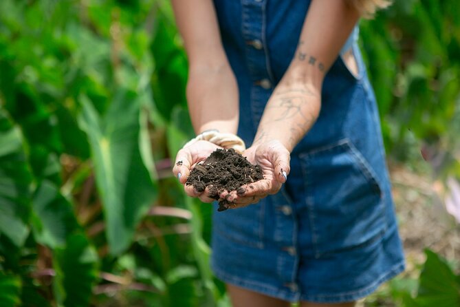 Taste of Hawaii: A Maui Farm Tour - Booking Information