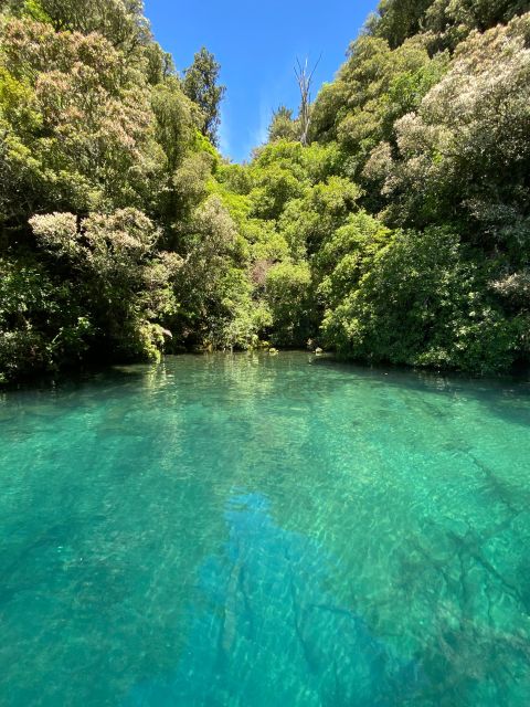 Taupo: Lake Taupo Western Bays Catamaran Tour With Bush Walk - Logistics and Meeting Point