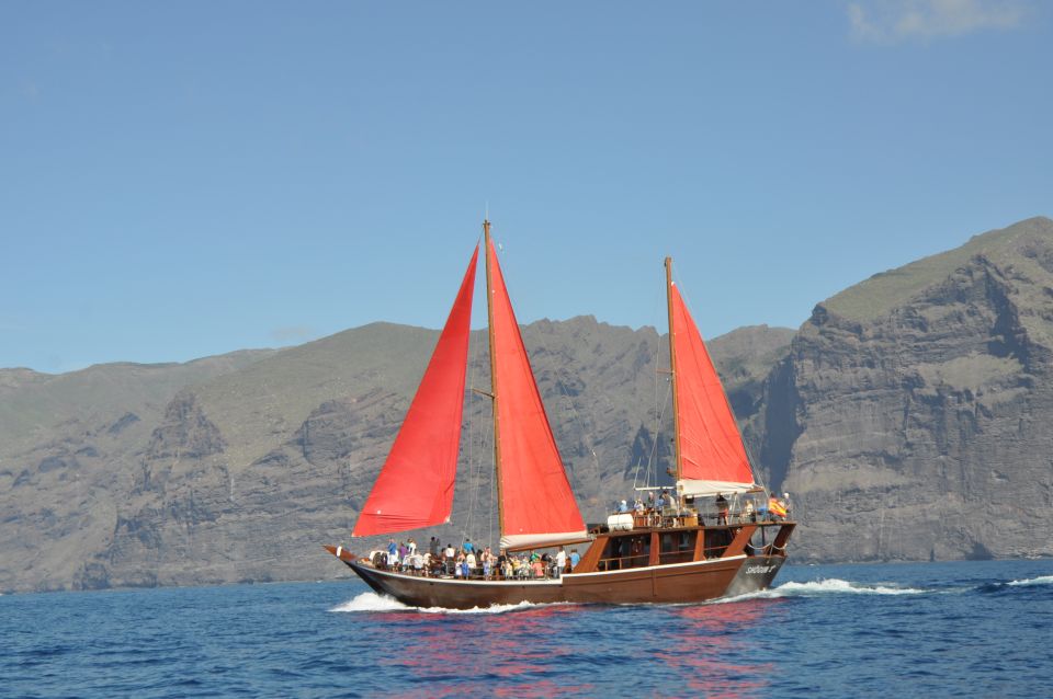 Tenerife: 5-Hour Whales and Dolphins Tour - Customer Reviews and Ratings