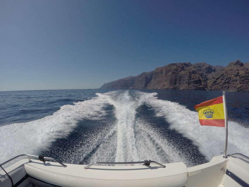 Tenerife: 6 & 8 Hour All Inclusive Private Motor Boat Cruise - Activity Options