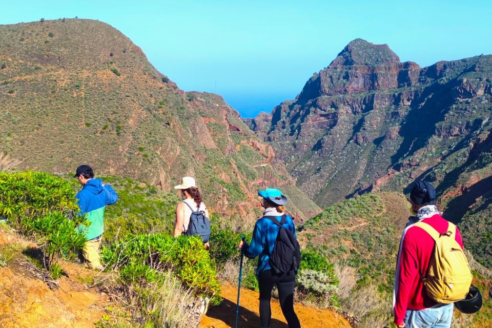 Tenerife: Anaga Mountains and Laurel Forest Hiking Tour - Customer Reviews