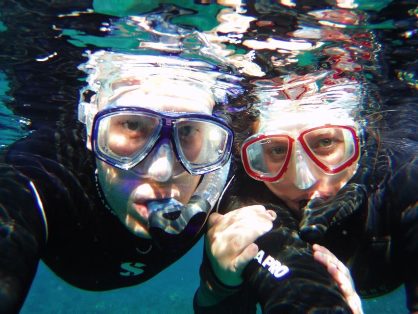 Tenerife Exclusive Snorkeling Trip With Marine Biologist - Review and Location Details
