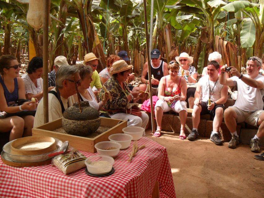 Tenerife: Finca Las Margaritas Banana Plantation Experience - Common questions
