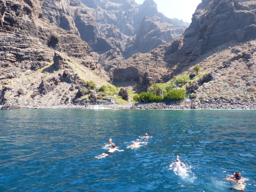 Tenerife: Los Gigantes Whale Watching Cruise by Sail Boat - Itinerary Flexibility