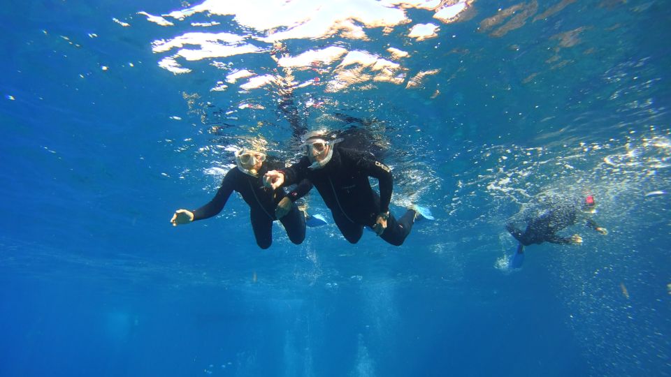 Tenerife: Snorkel With Turtles - Booking Details