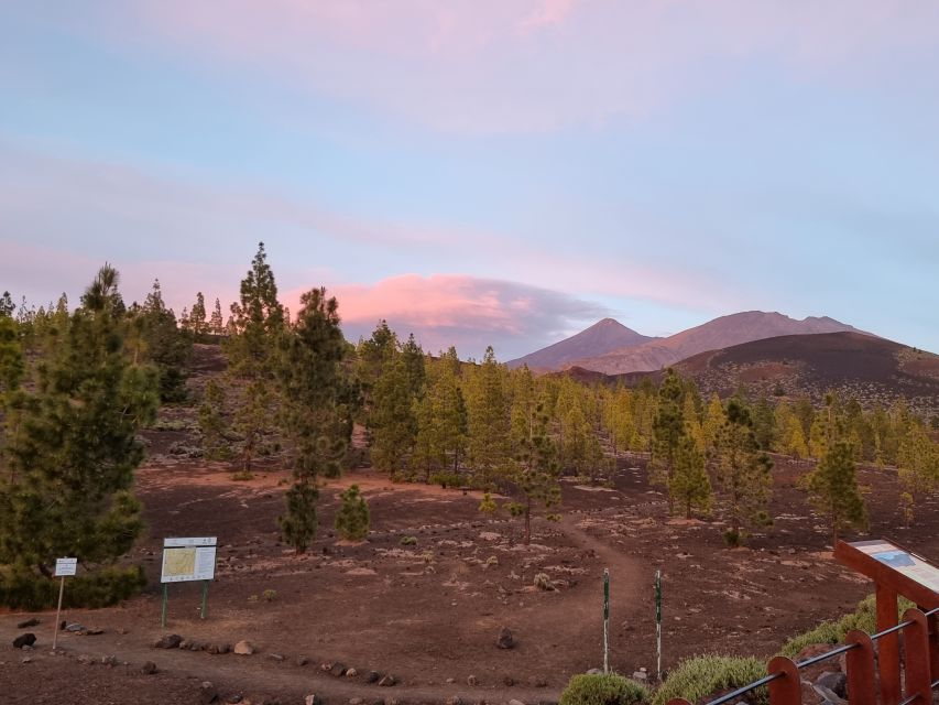 Tenerife: Sunset and Stargazing at Teide National Park - Educational Component