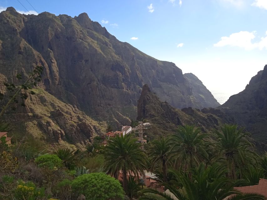 Tenerife: Teide, Icod De Los Vinos, Garachico & Masca Tour - Booking Information