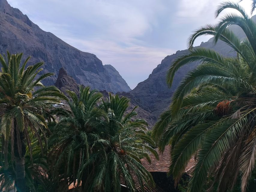 Tenerife: Teide, Masca, Garachico, and Sunset Exclusive Tour - Customer Reviews