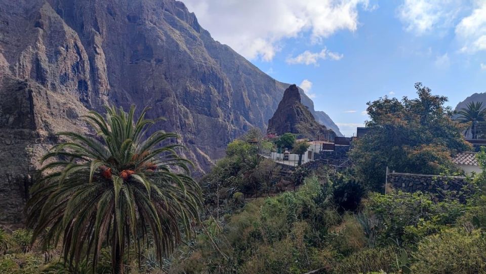 Tenerife: Teide National Park and Masca, Shared Tour (South) - Customer Reviews