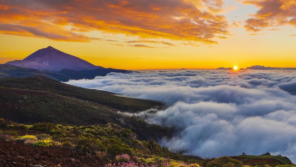 Tenerife: Teide & Stars Guachinche Lunch Cava Vip Tour - Stargazing Adventure