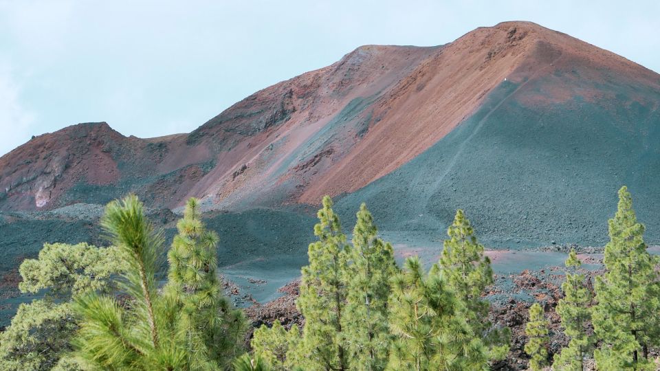 Tenerife: Teide Volcano and North of the Island VIP Tour - Customer Feedback
