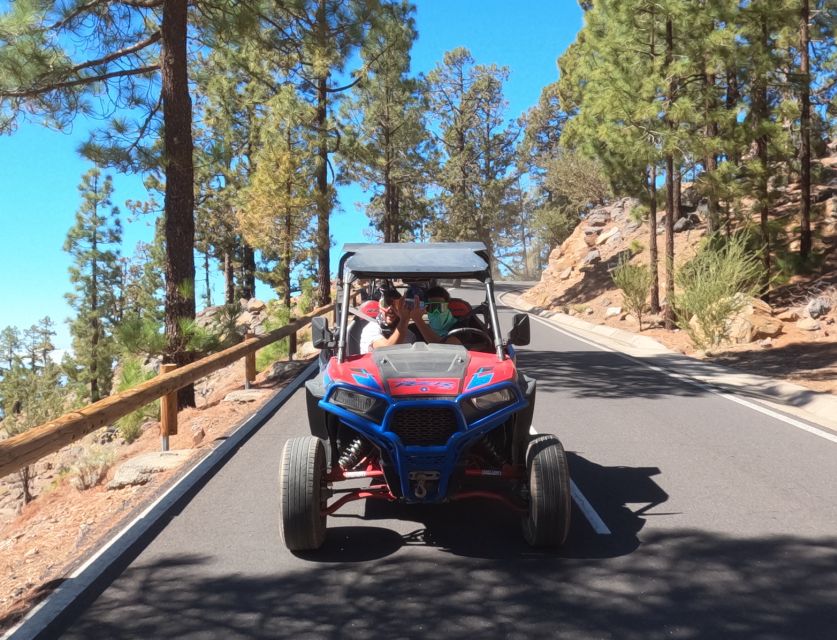 Tenerife: Volcano Teide Buggy Tour With Wine Tasting & Tapas - Common questions