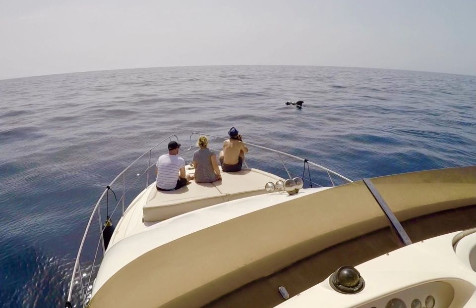 Tenerife: Whales and Snorkeling Tour on a Luxury Yacht - Customer Reviews