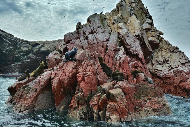 The Ballestas Islands Tour & Paracas National Reserve - From Lima - Additional Information