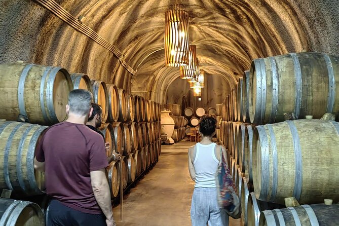 The Best Douro Wine Tour - Additional Tips and Contact Information