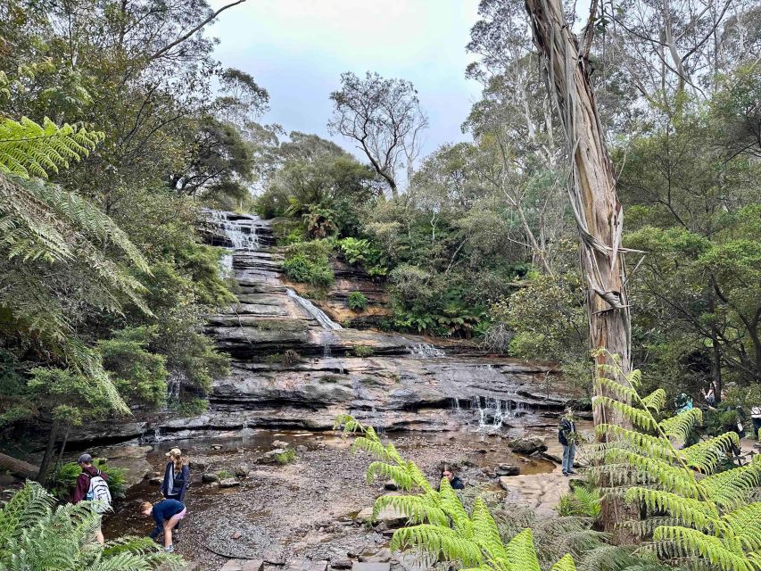 The Blue Mountains Small Group Insider Tour - Booking Information