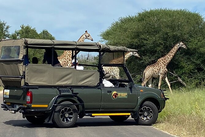 The Kruger National Park - Full Day Tour - Pricing Details and Operator Information