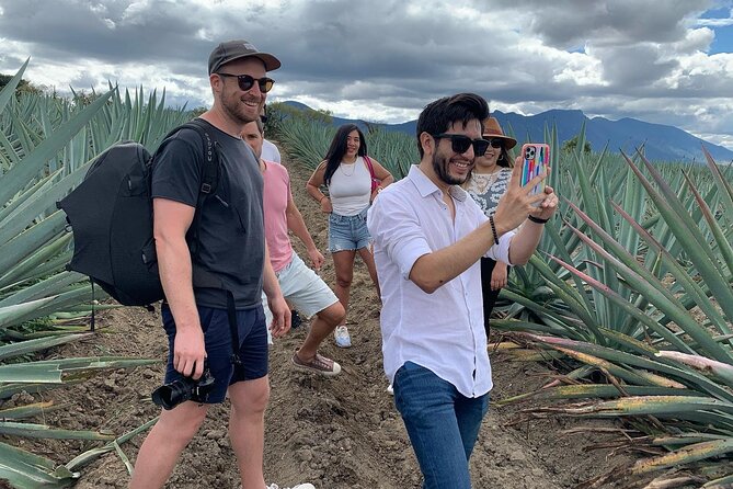 The Mezcal Journey - Tour Guides