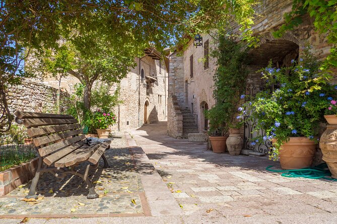 The Wonders of Assisi Private Walking Tour - Tour Experience Highlights