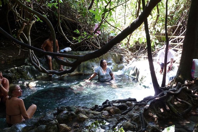 The Wonders of Thailands Last Lowland Rainforest - Sustainable Tourism Practices