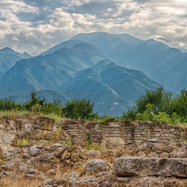 Thessaloniki: Mount Olympus & Ancient Dion Private Day Trip - Provider Information