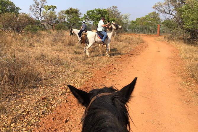 Thrilling Joburg Horseback Safari & Sky-High Cable Car Adventure - Booking Information