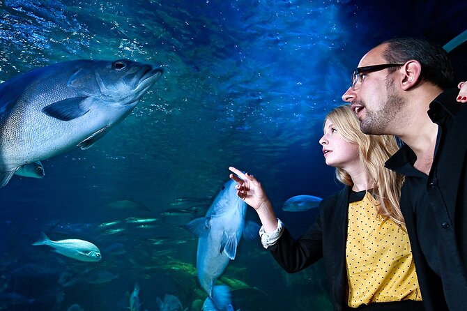 Ticket to Berlin Dungeon, Sea Life and Madame Tussauds Berlin - Directions and Recommendations