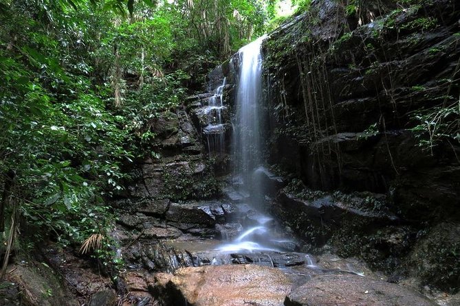 Tijuca Forest Hiking Tour Including Waterfalls - Tour Highlights