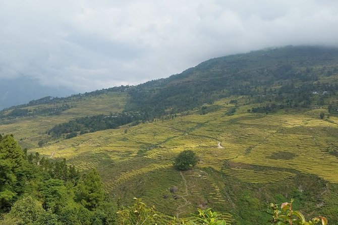 Tinsure Hill - Nepal Village Trek - Weather Contingency Plan