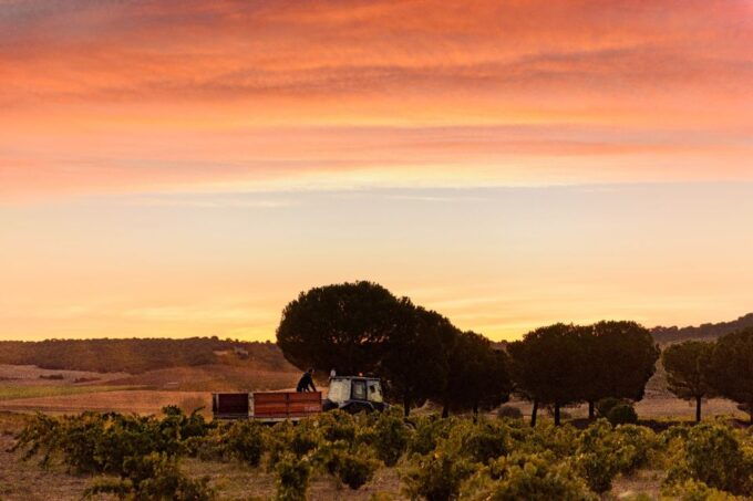 Toro: Piedra Winery Tour & Oak Barrel Tastings - Additional Information