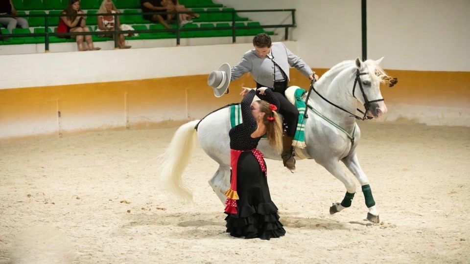 Torremolinos: Andalusian Horse Show With Flamenco Dance - Customer Reviews