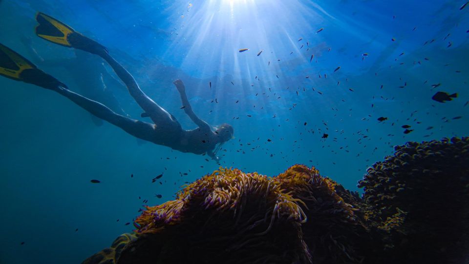 Tour Freediving Phu Quoc: Fascinating Free-Diving Moments - Included Amenities