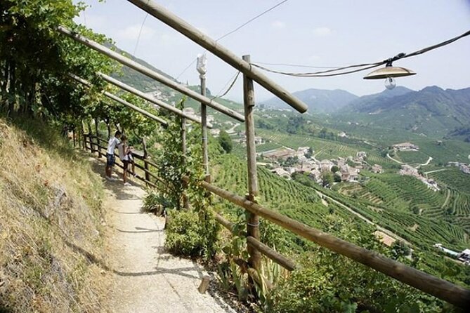 Tour in the Prosecco Hills Tour From Padua - Contact & Support Information