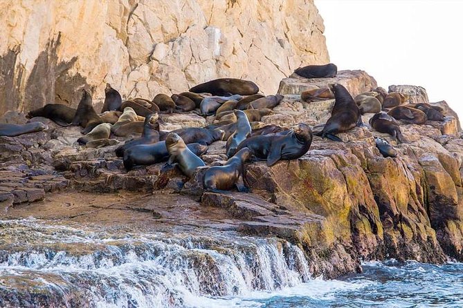 Tour of Cabo San Lucas With Glass Bottom Boat Cruise - Common questions