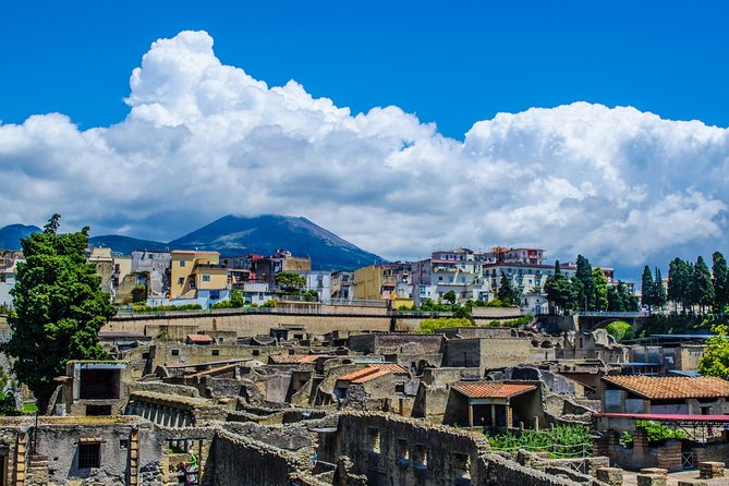 Tour of Herculaneum Skip the Line With Official Guide - Group Size and Price Variations