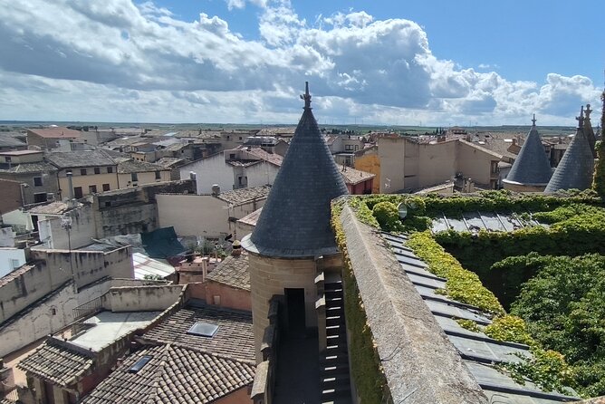 Tour of Olite and the Royal Castle. - Additional Activities Included