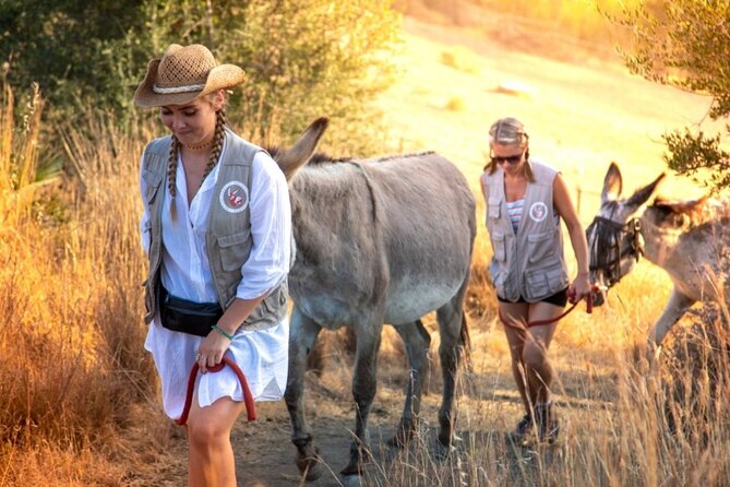 Tour the Sanctuary and Walk With the Donkeys and Share Their Love - Last Words