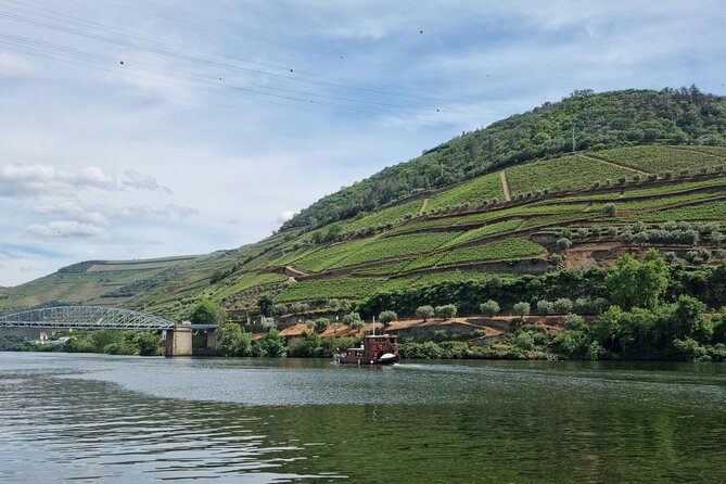 Tour to Douro, Premium Cruise, Lunch at the Farm and 2 Wineries - Common questions