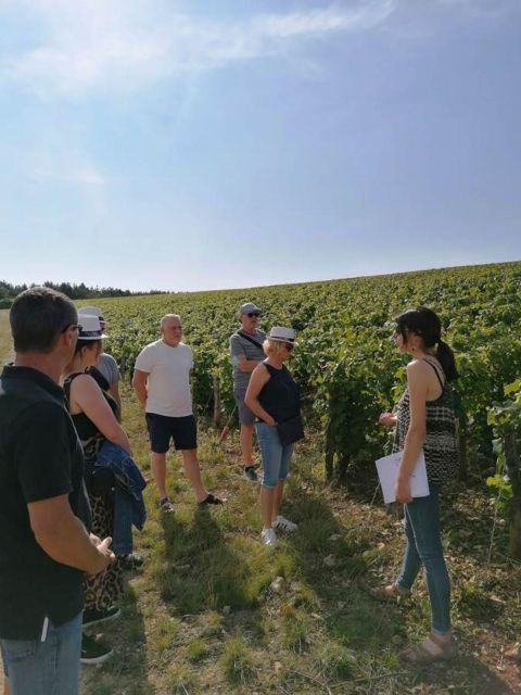 Troyes: Guided Vineyard Hike & Champagne Tasting Experience - Last Words