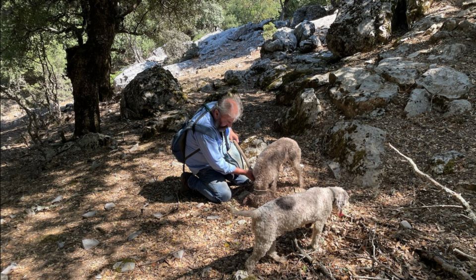 Truffle Hunting, Culinary & Wine Celebration From Heraklion - Wine Tasting and Celebration