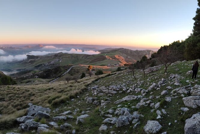 Truffle Hunting in the Sicani Mountains: a Unique Experience in Sicily - Last Words