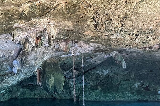 Tulum Cenote Dive Two Eyes Experience - Traveler Photos and Reviews