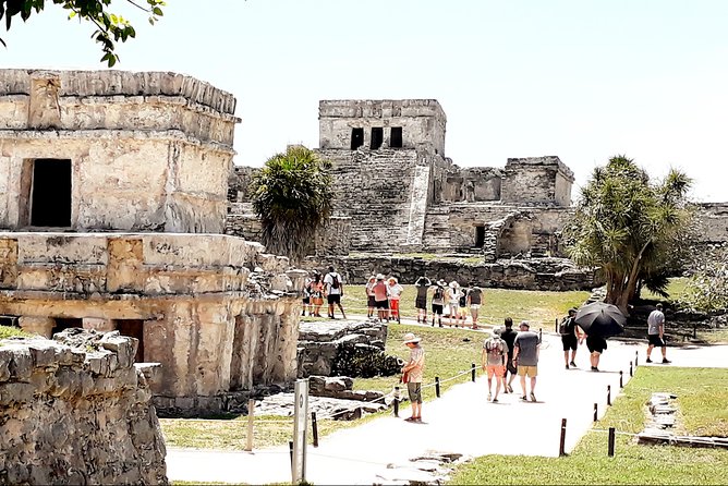 Tulum, Coba, Cenote & Playa Del Carmen With Buffet Lunch - Areas for Improvement and Suggestions