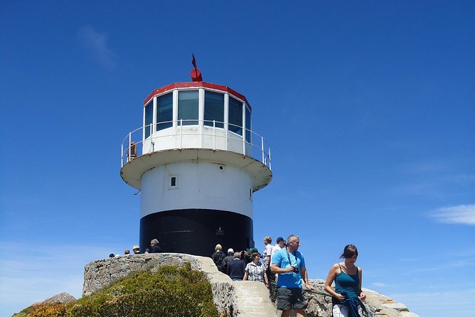 Ultimate Cape Point Tour From Cape Town - Full Day - Last Words