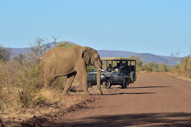 Ultimate Elephant Sanctuary Tour - Common questions